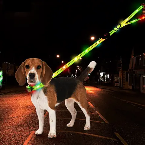 Dog safety leash