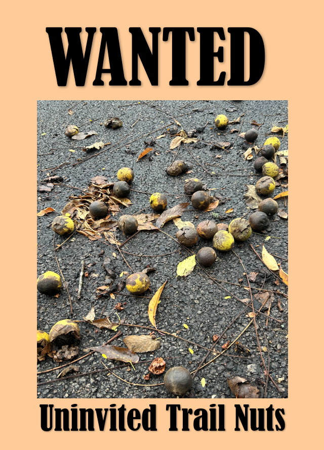 WantedTrailNuts