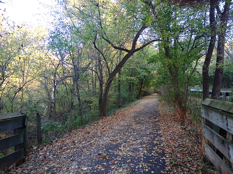 leaves on trail 600x800