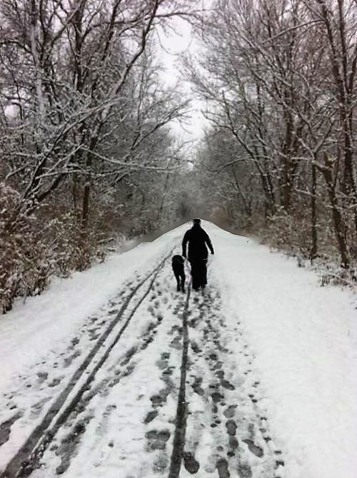 snowy trail